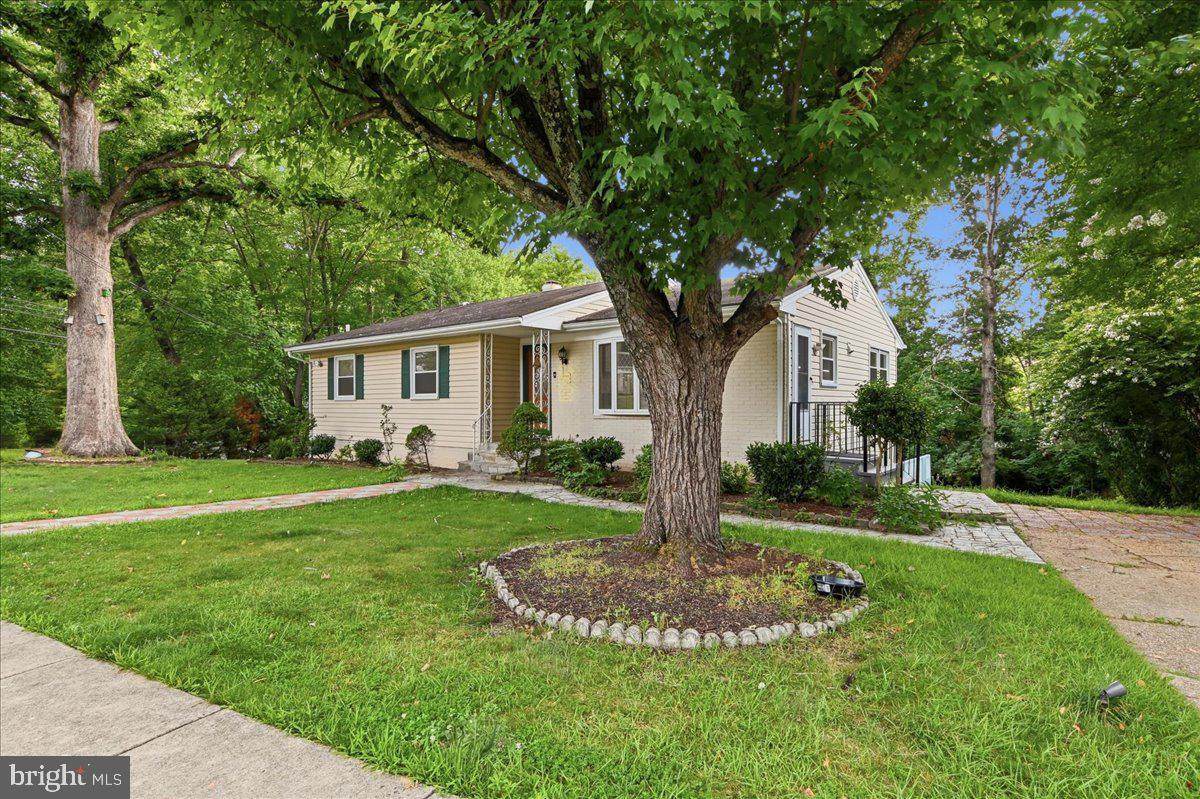 131 Casmar Street - Photo 1