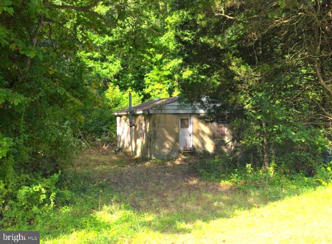34155 Bradford Johnson Road - Photo 1