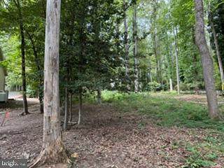 Lot 162C Indian Hills Road - Photo 1