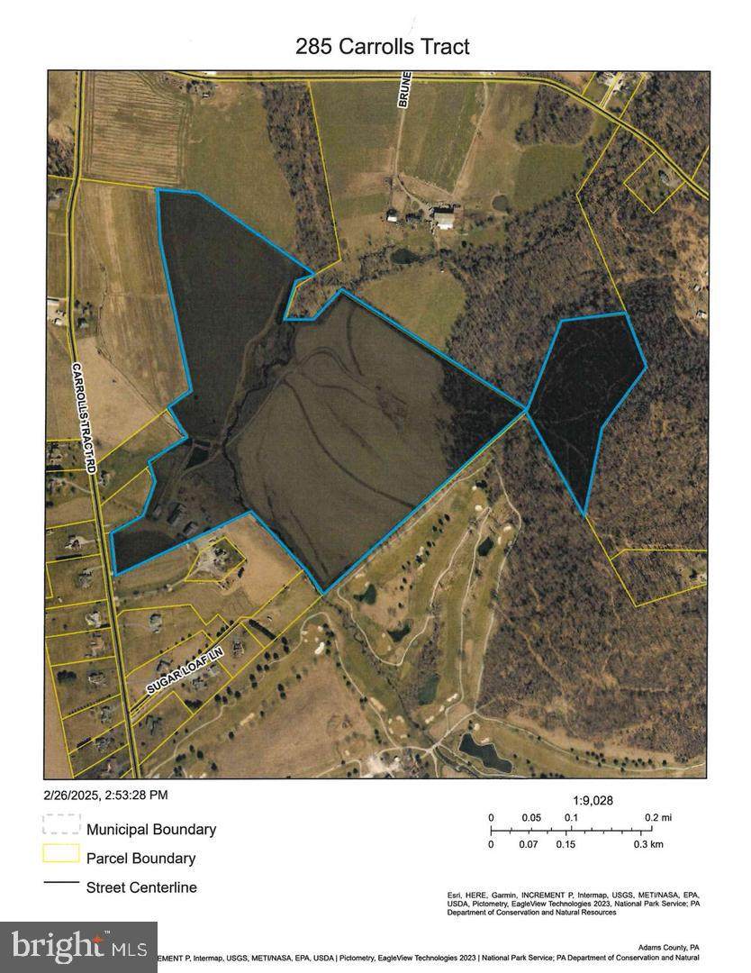 285 Carrolls Tract Road - Photo 1