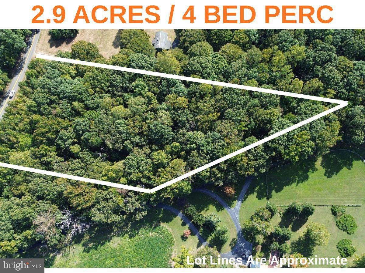 3 Acres Belsches Road - Photo 1