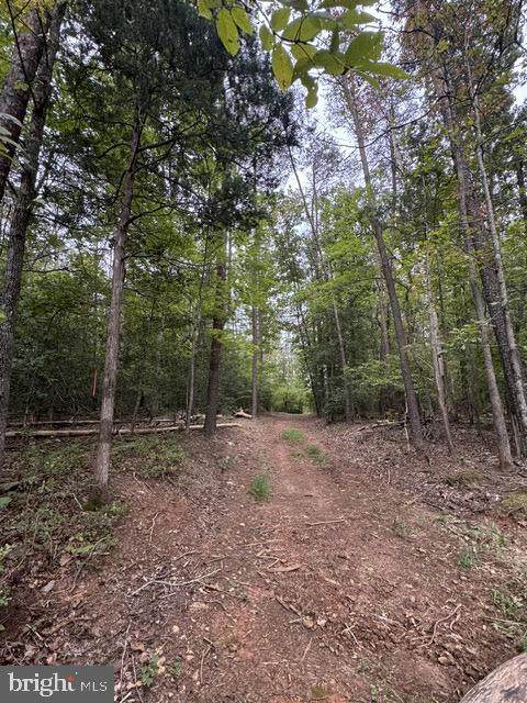  Old Office Road - Photo 1