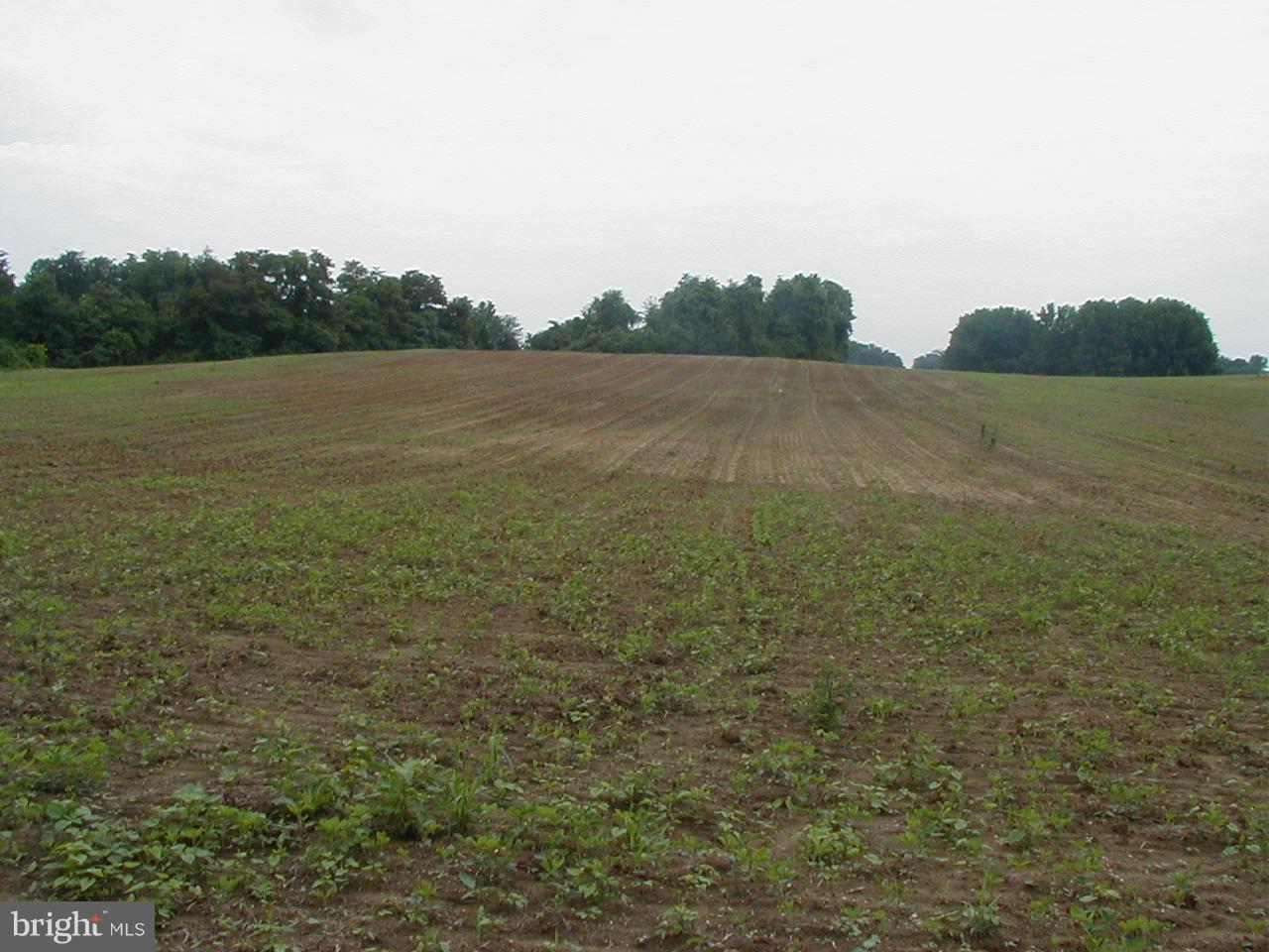 Candy Hill Road - Photo 1