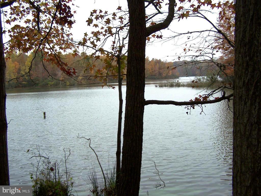 2107 Elk Creek Road - Photo 1