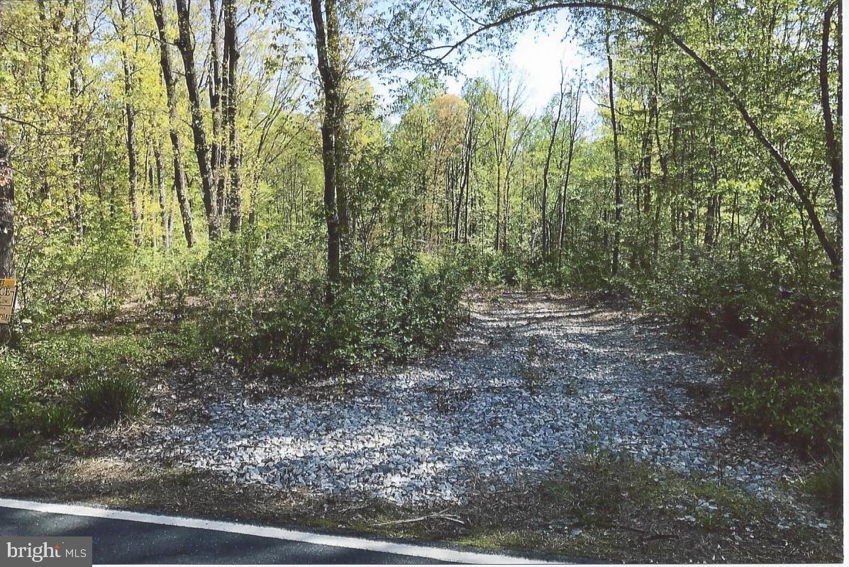 Lot #1, Valley Forge Bailiff Road - Photo 1