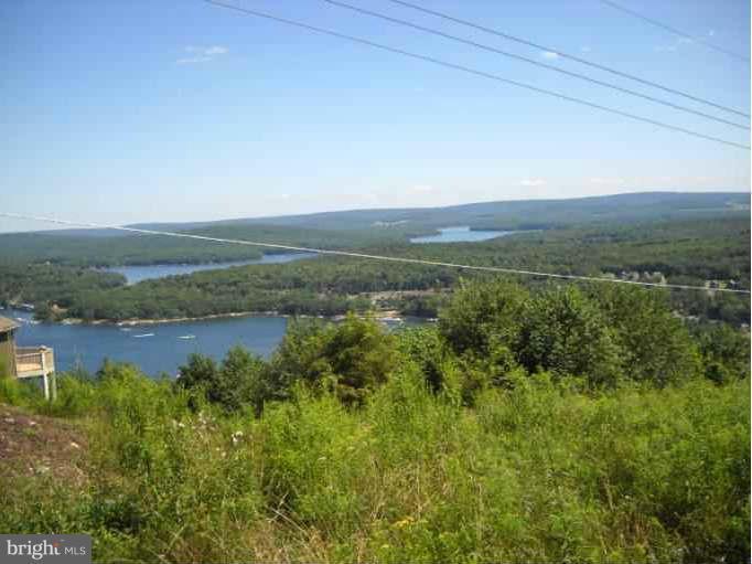 21287 Garrett Highway - Photo 1