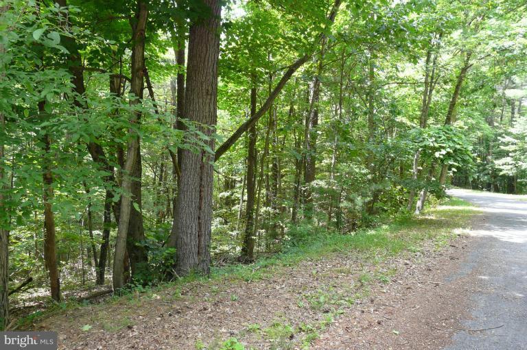 Straton Court---Lot 17-Section2-Block 2 - Photo 1