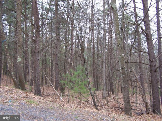 0 Beaver Road - Photo 1
