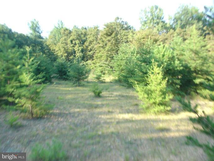 State Route 55 - Photo 1
