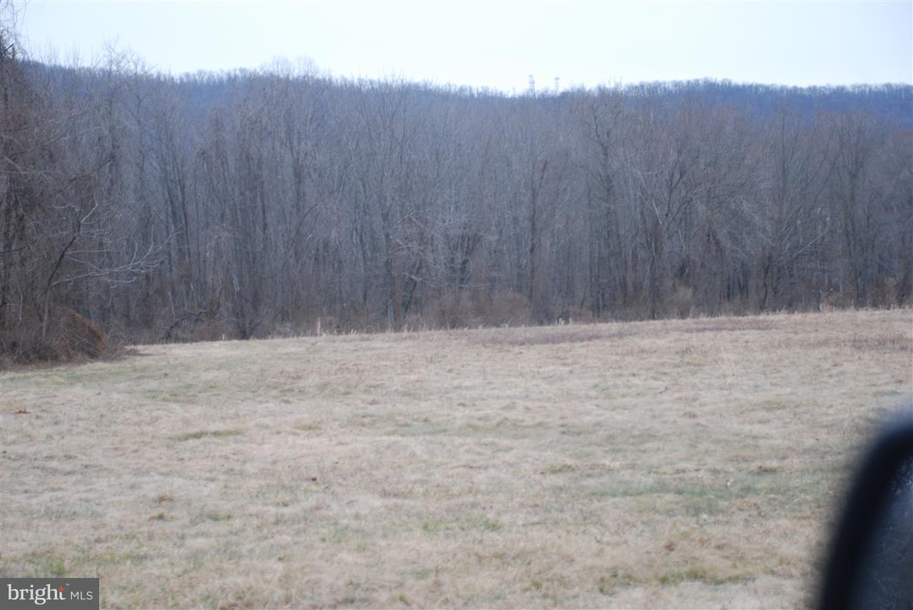 Lot 16 Airyview Road - Photo 1