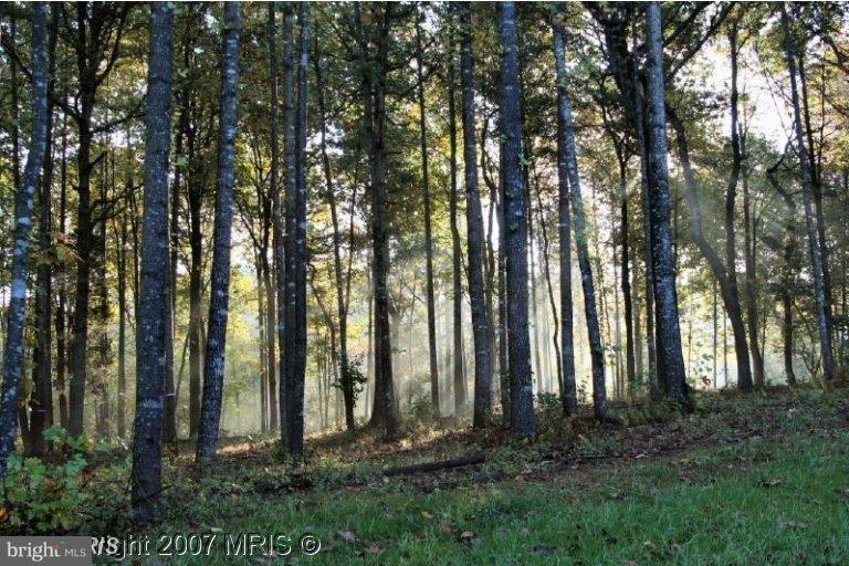 Lot 16 Rillhurst Drive - Photo 1