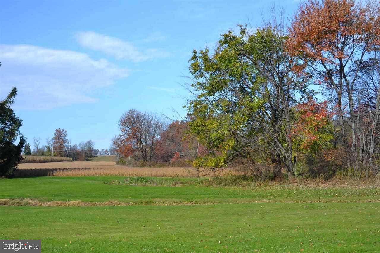 Vacant land Main Street - Photo 1
