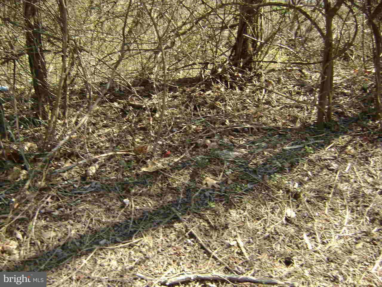 0 Midvale Road - Photo 1