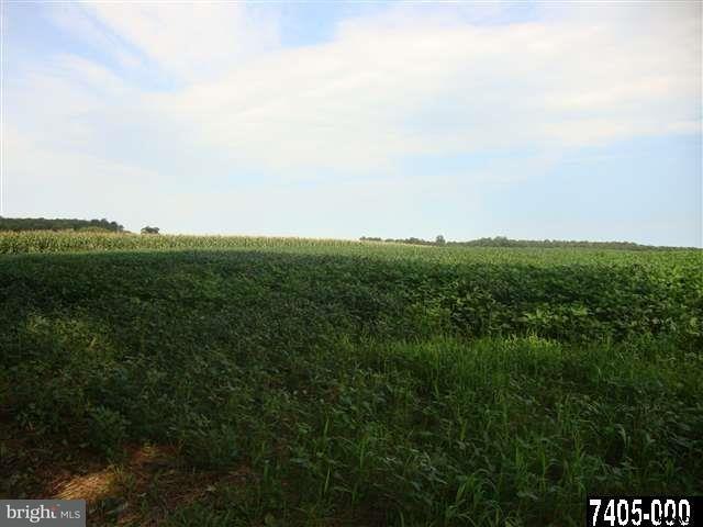 Evergreen Road - Photo 1