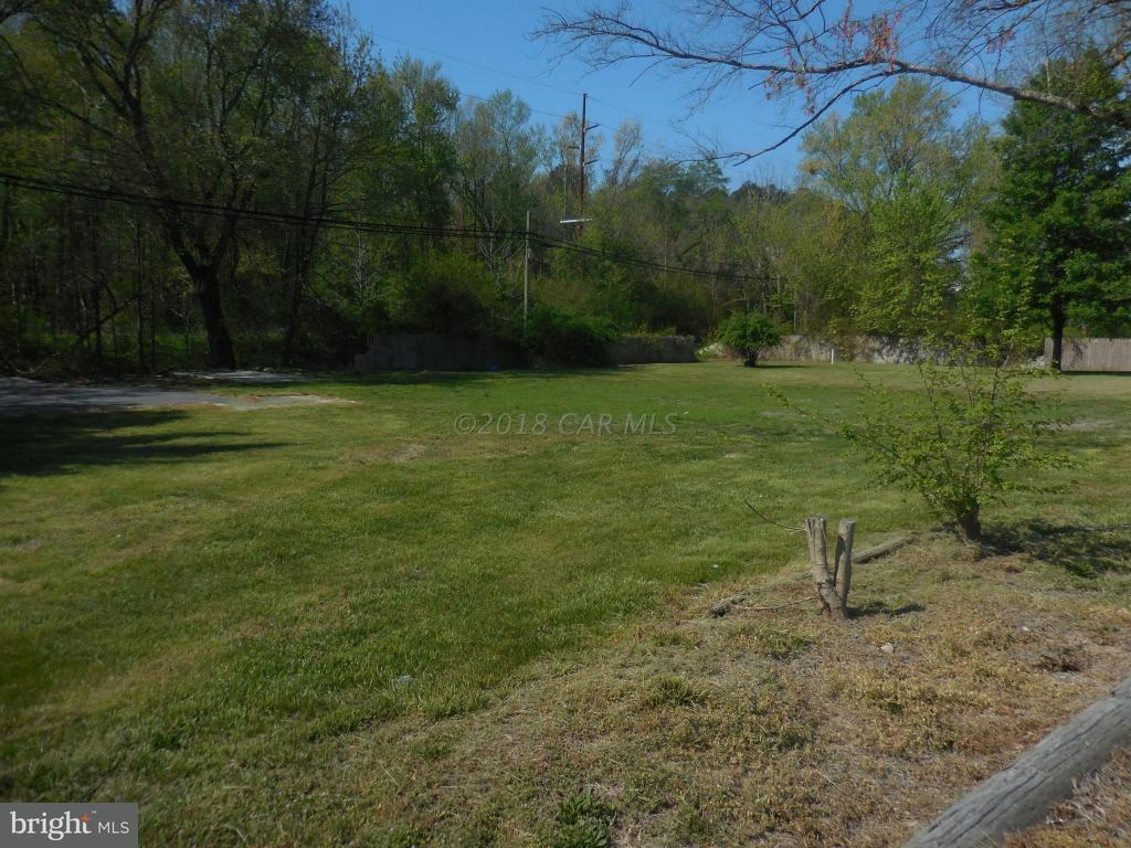 32969 Old Ocean City Road - Photo 1