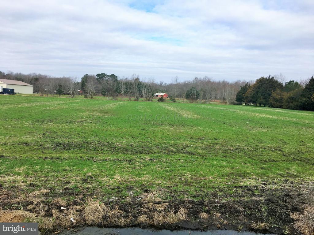 Peerless Road - Photo 1