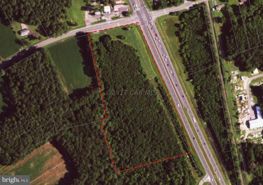 13010 Worcester Highway - Photo 1