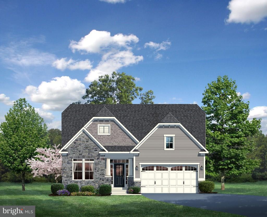 20404 Oakney Street - Photo 1