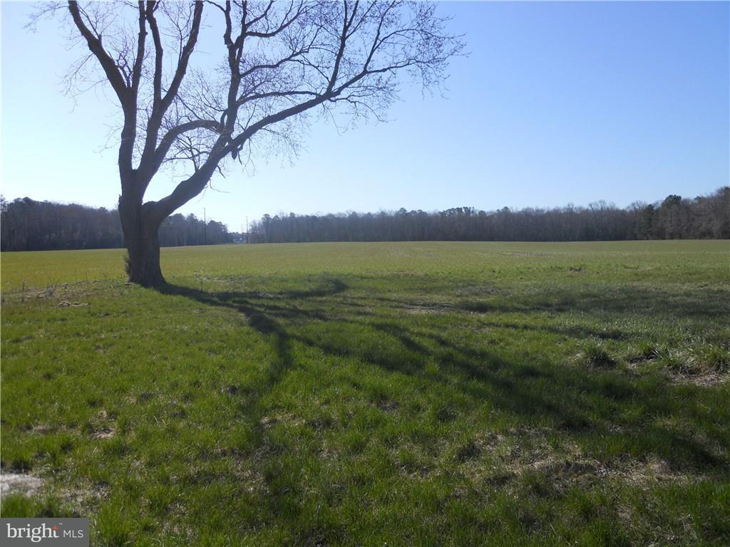 23121 Hollyville Road - Photo 1