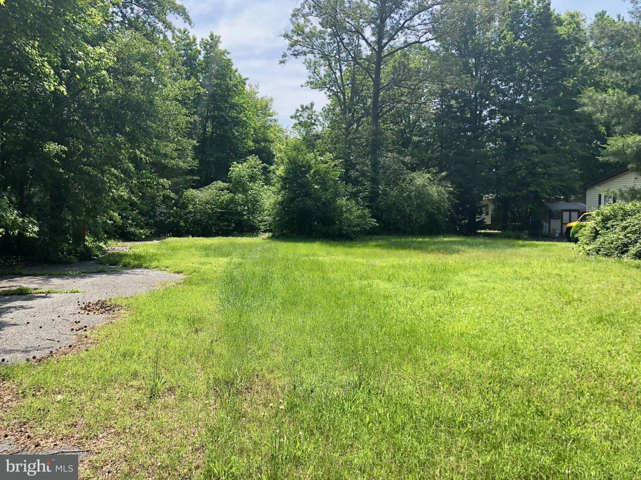 27699 Avalon Drive - Photo 1