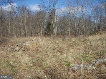 25 Wind Trail - Photo 1