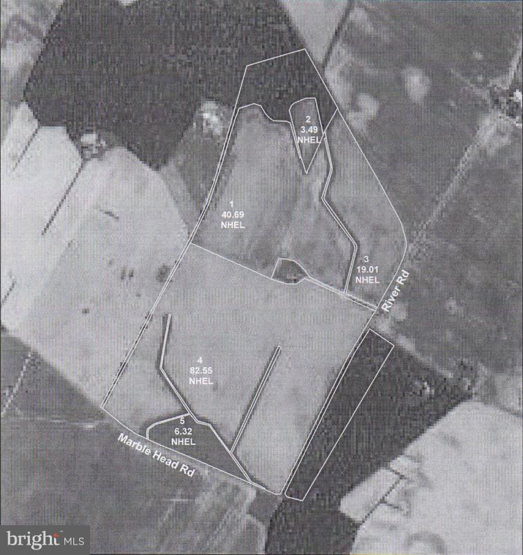 14010 River Road - Photo 1
