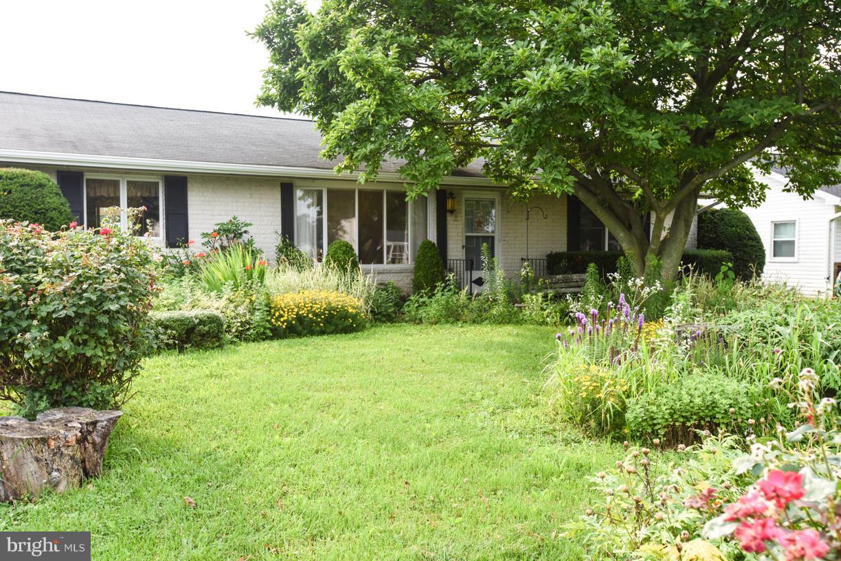 11959 Comanche Drive - Photo 1