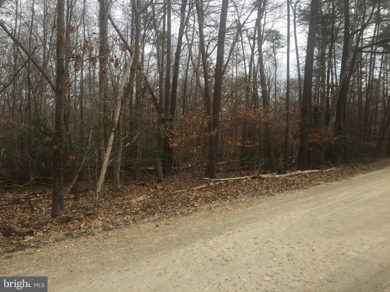 Reserve Road - Photo 1