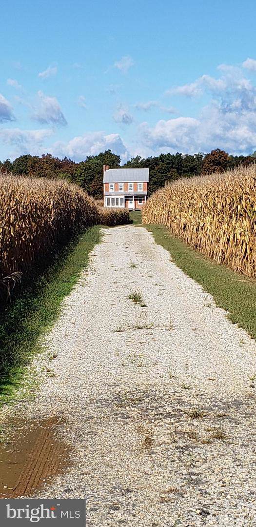 1000 Round Hill Road - Photo 1