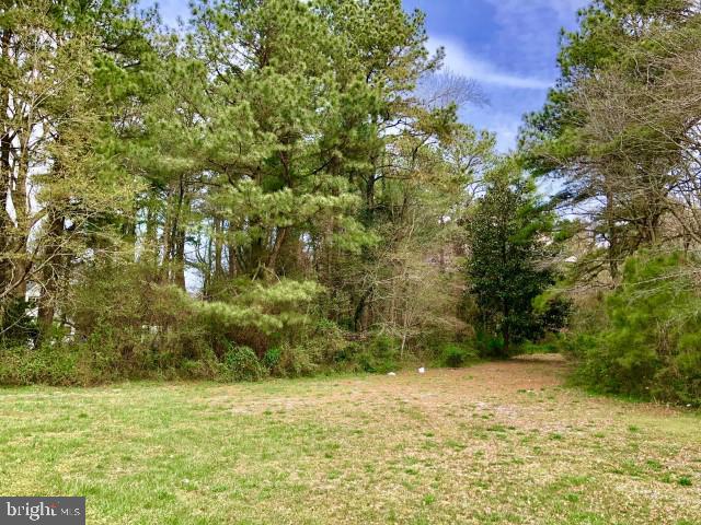 0 Hearns Pond Road - Photo 1