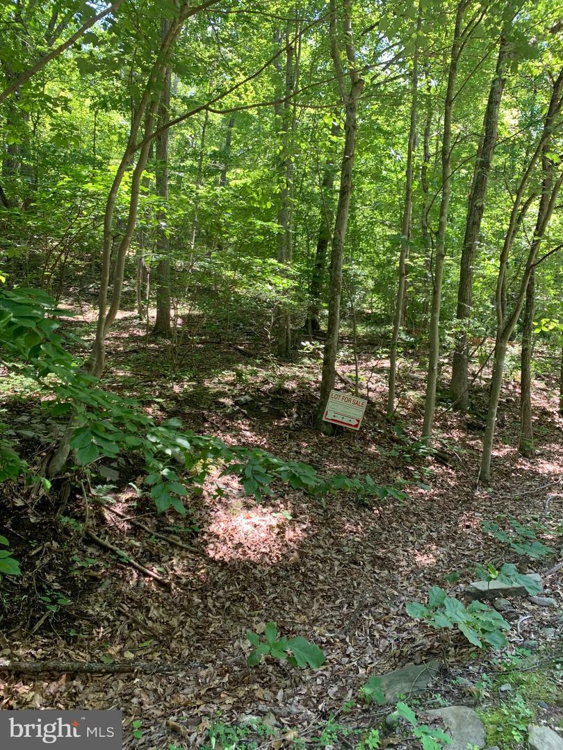 Hidden Springs Dr - Photo 1