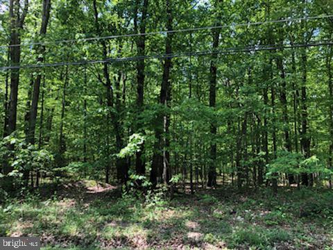 625 Whiskey Springs Road - Photo 1