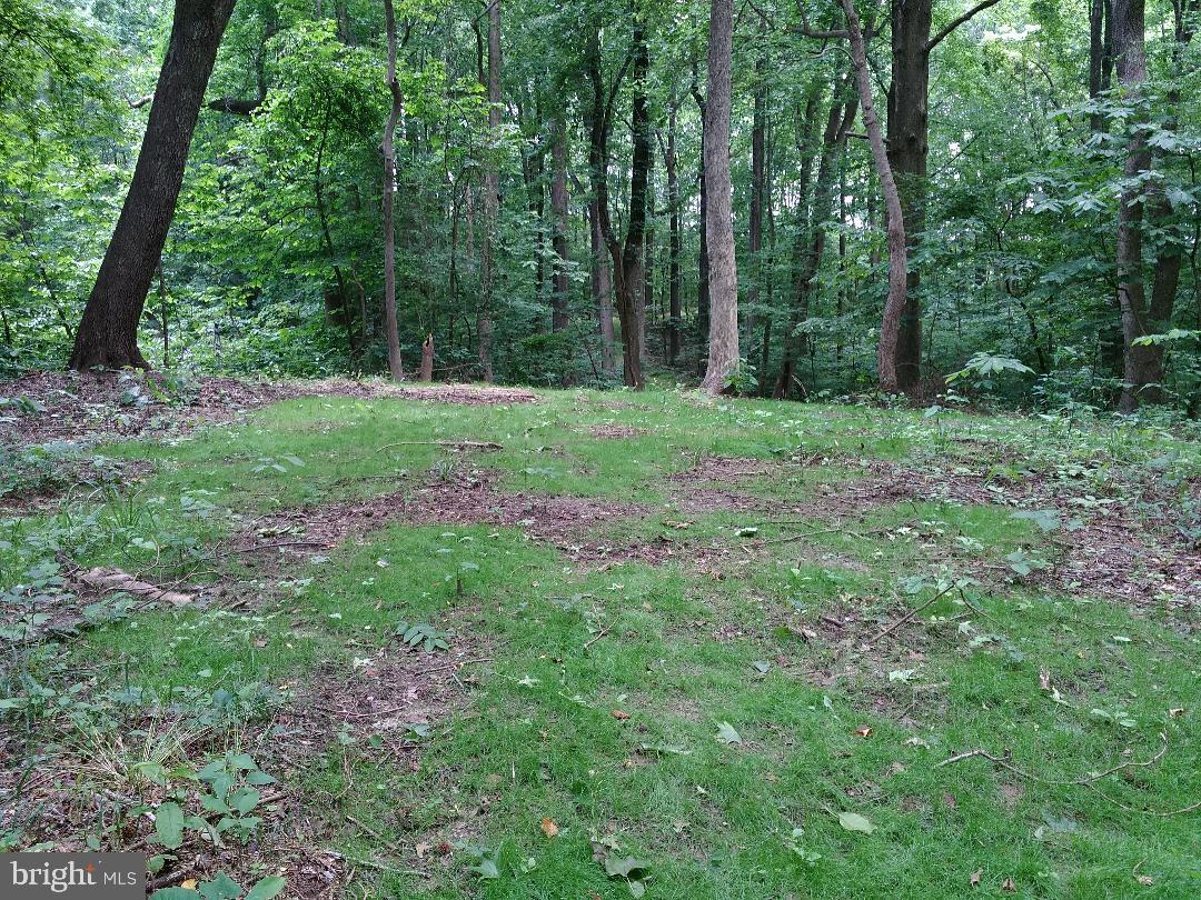 1795 Wilson Road - Photo 1