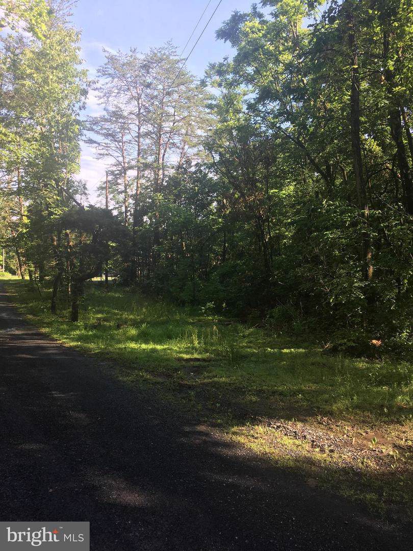 Whispering Pine Lane - Photo 1