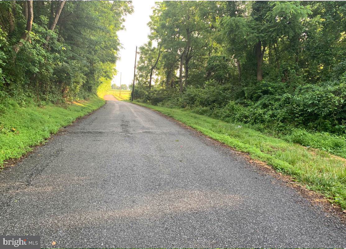 0-LOT #5 Wiley Mill Road - Photo 1 0-LOT #5 Wiley Mill Road - Photo 1