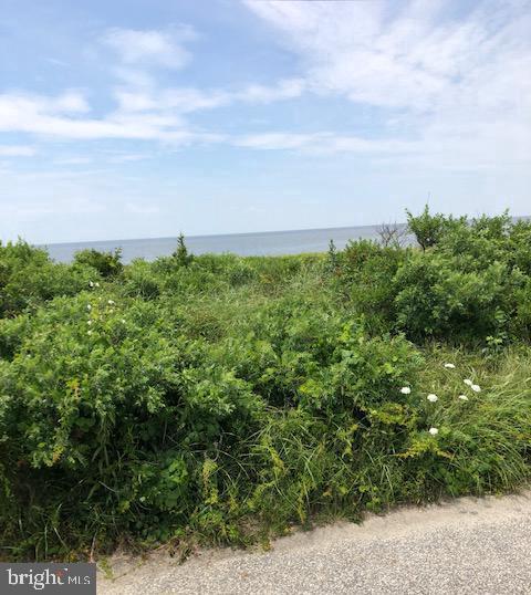 4 Beach Avenue - Photo 1