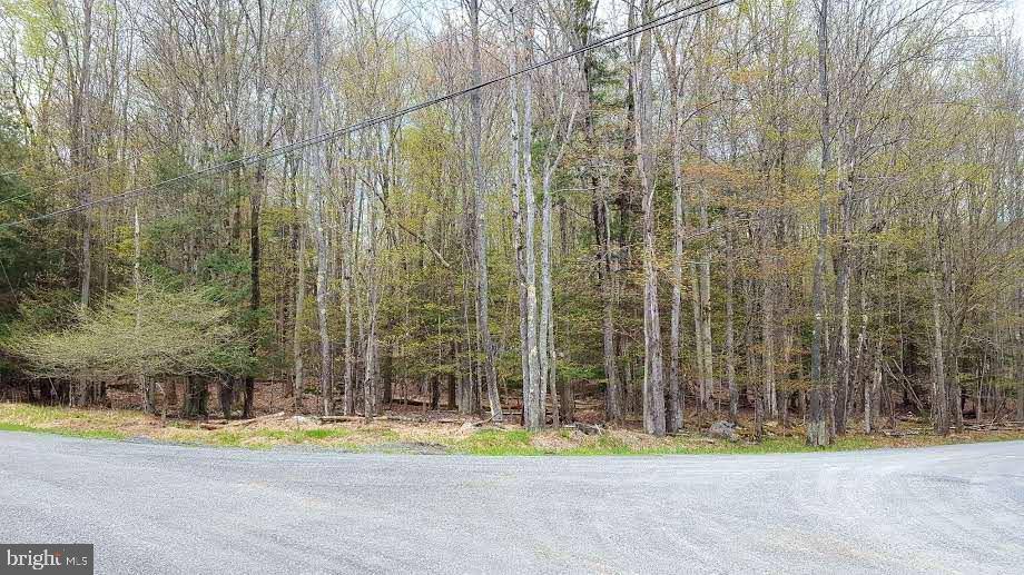 Lot 60 Orion Way - Photo 1