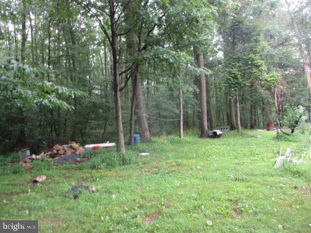 8 Cabin Lane - Photo 1