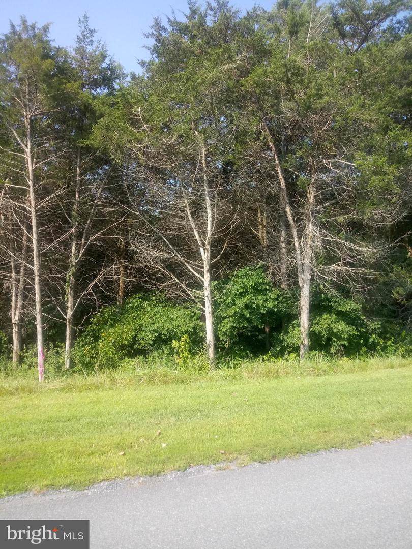 0 Homestead Dr - Photo 1