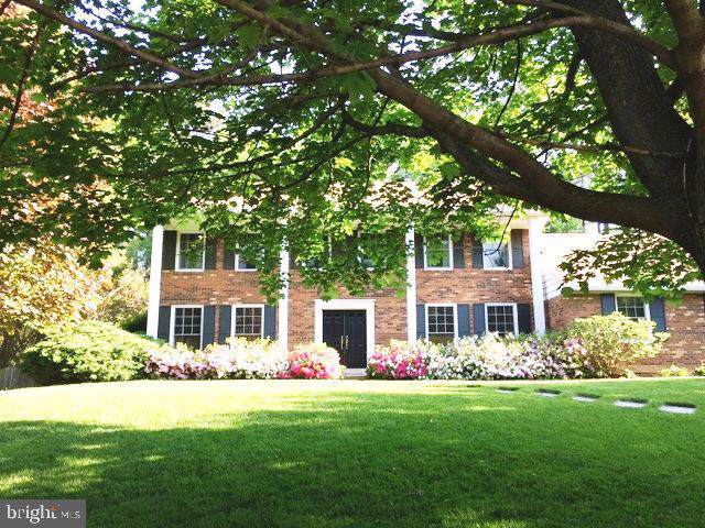 4201 Maple Tree Court - Photo 1
