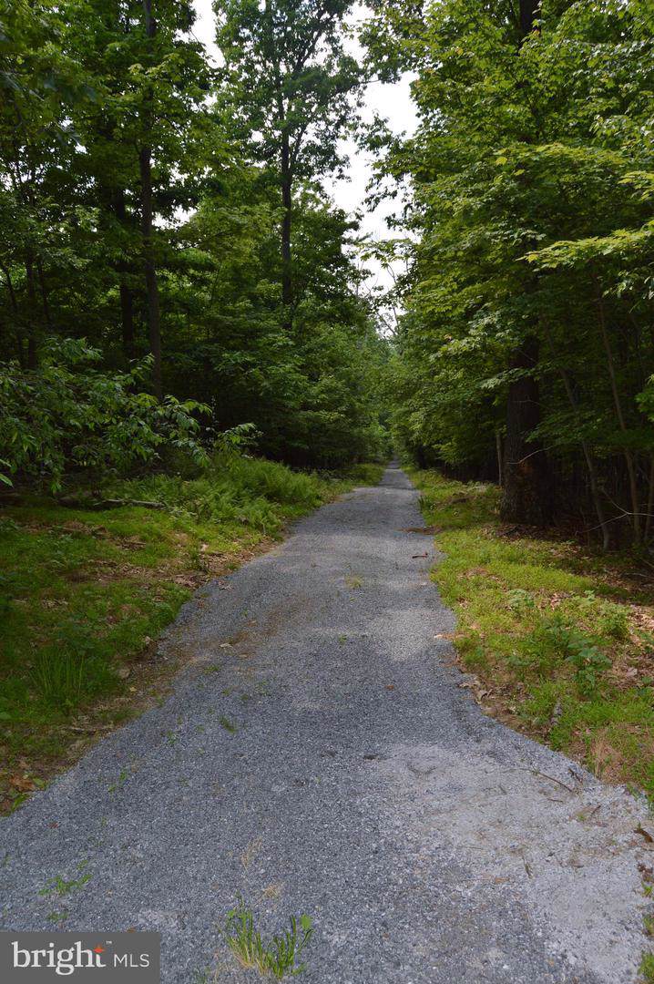 1935 Hoffmaster Road - Photo 1
