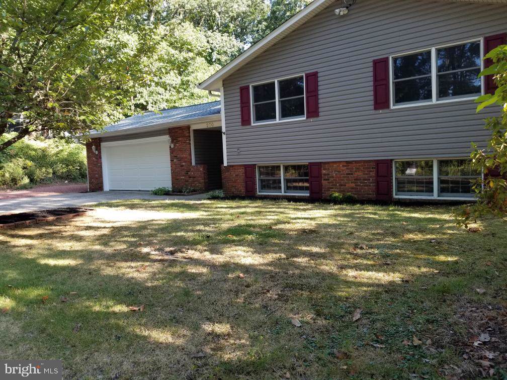 270 Chestnut Street - Photo 1