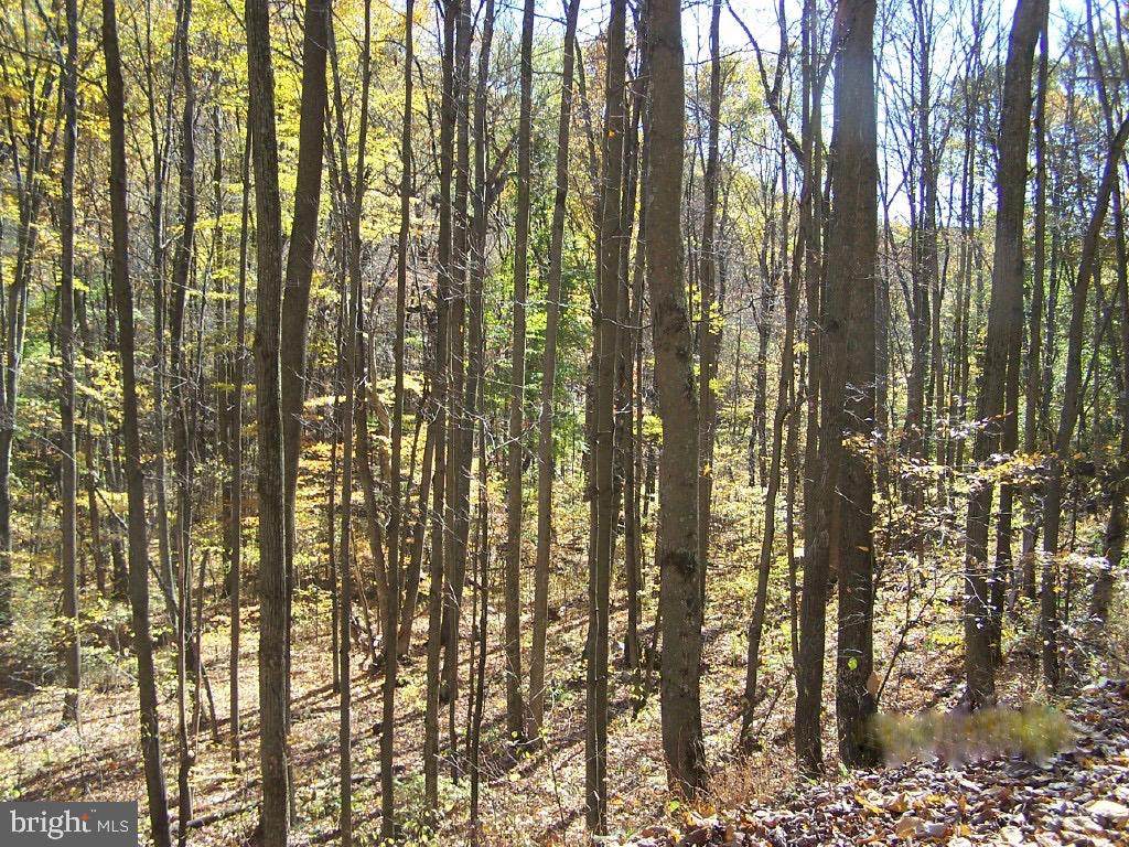 Nethkin Road - Photo 1