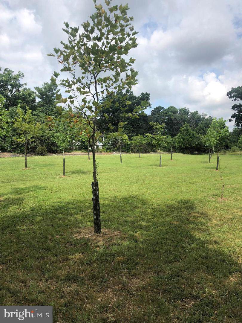 Railroad Lot 4 - Photo 1