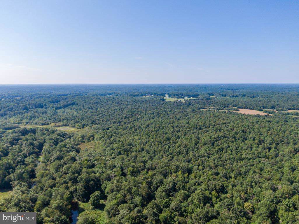 10201 Robert E Lee Drive - Photo 1