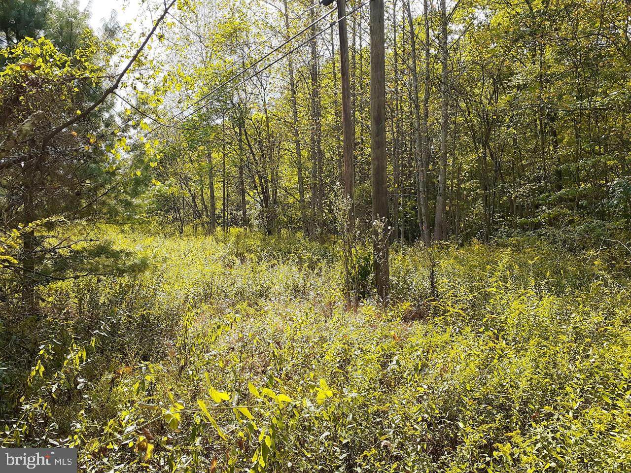 Back Creek Rd - Photo 1