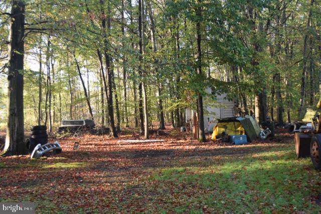 825 Union Church Road - Photo 1