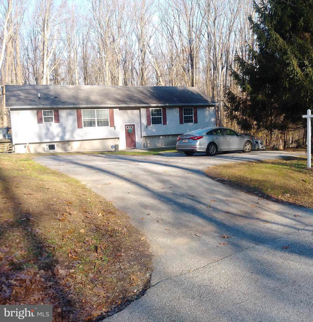 17400 Big Falls Road - Photo 1