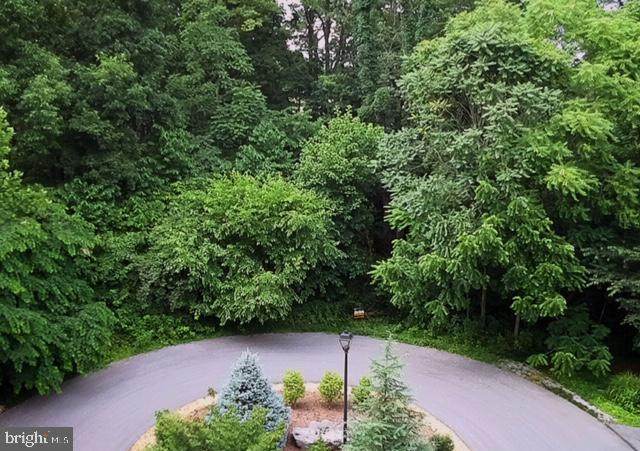 Lot 9 Hackberry Circle - Photo 1