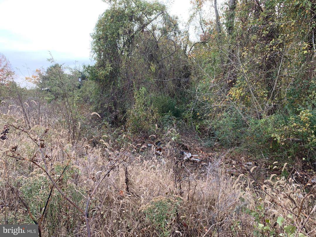 0 Bishop Ln - Photo 1